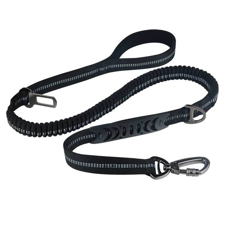Ceinture de sécurité voiture pour chien