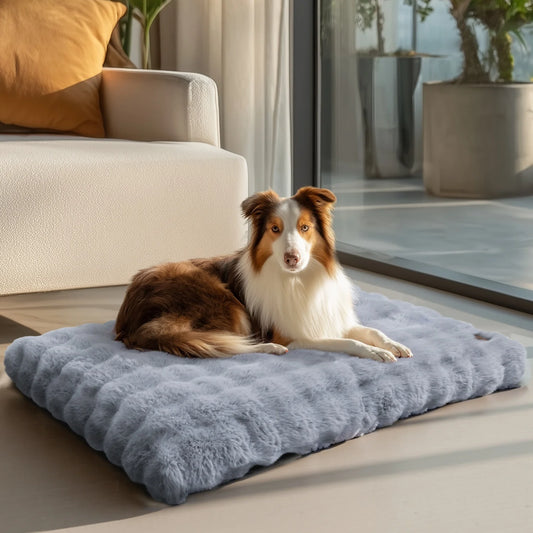 BINGOPAW – Matelas épais en mousse