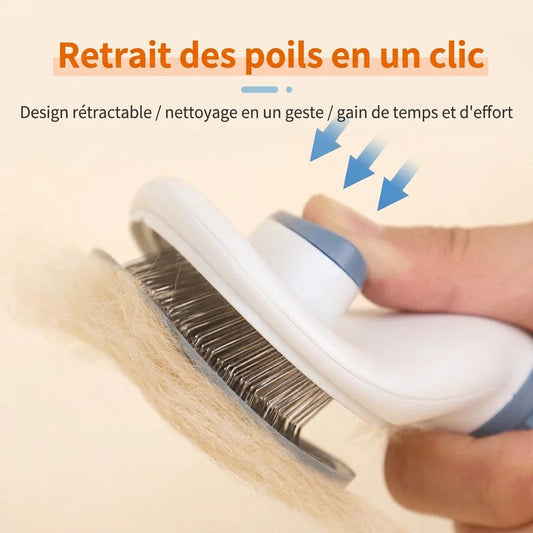 Brosse autonettoyante