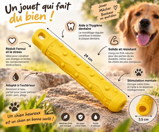 Gamme MordiThot : Bâton à mâcher texturé
