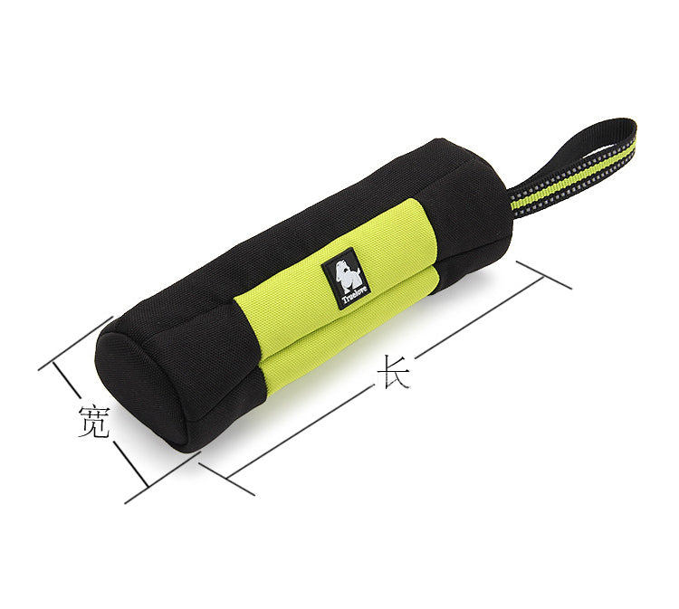 Laisse fluo réfléchissante pour chien