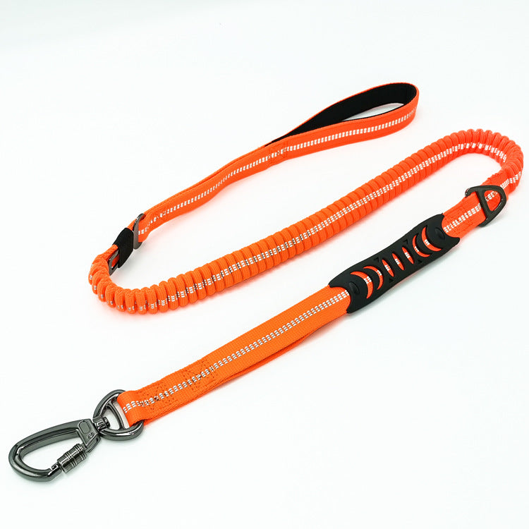 Ceinture de sécurité voiture pour chien