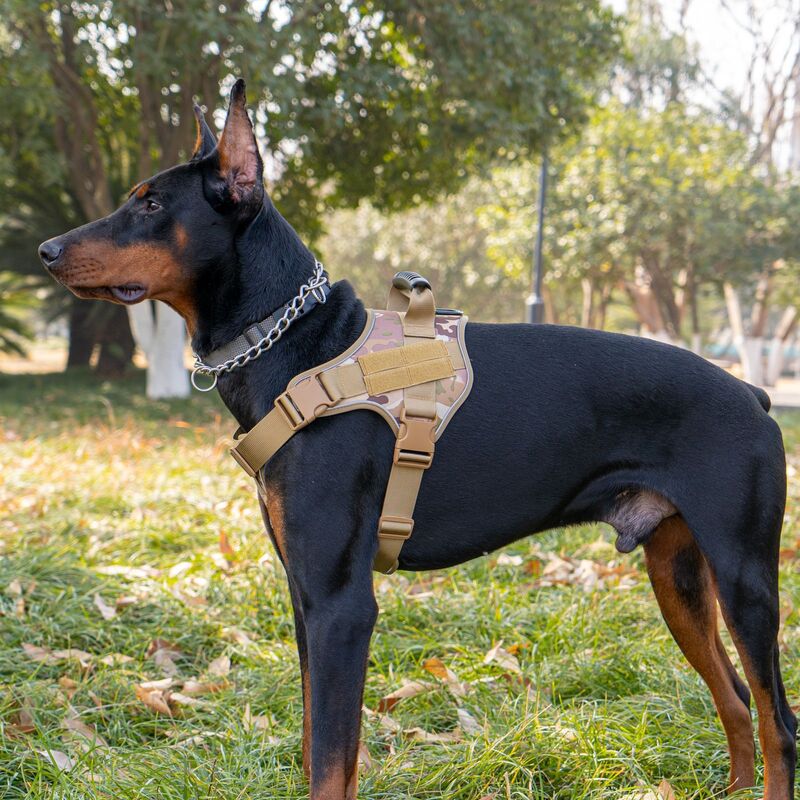 Harnais tactique style militaire