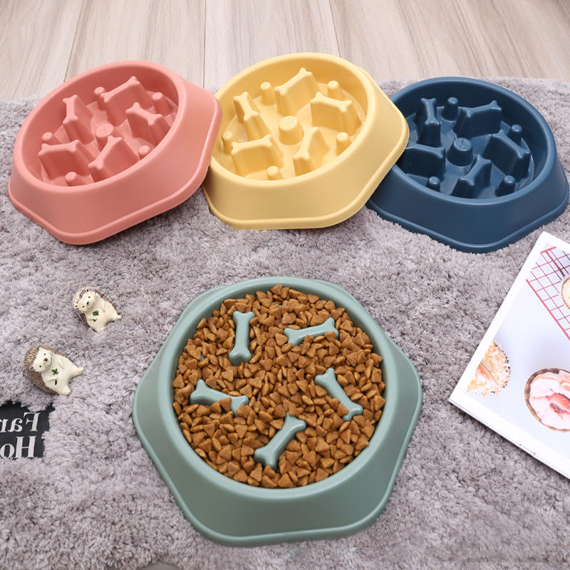 Gamelle anti-glouton forme os