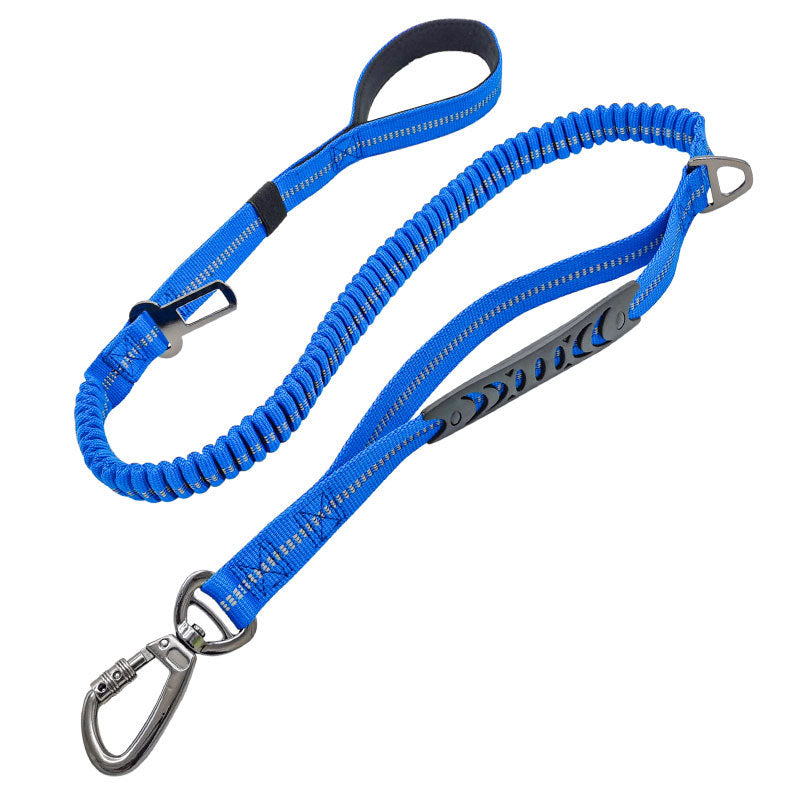 Ceinture de sécurité voiture pour chien