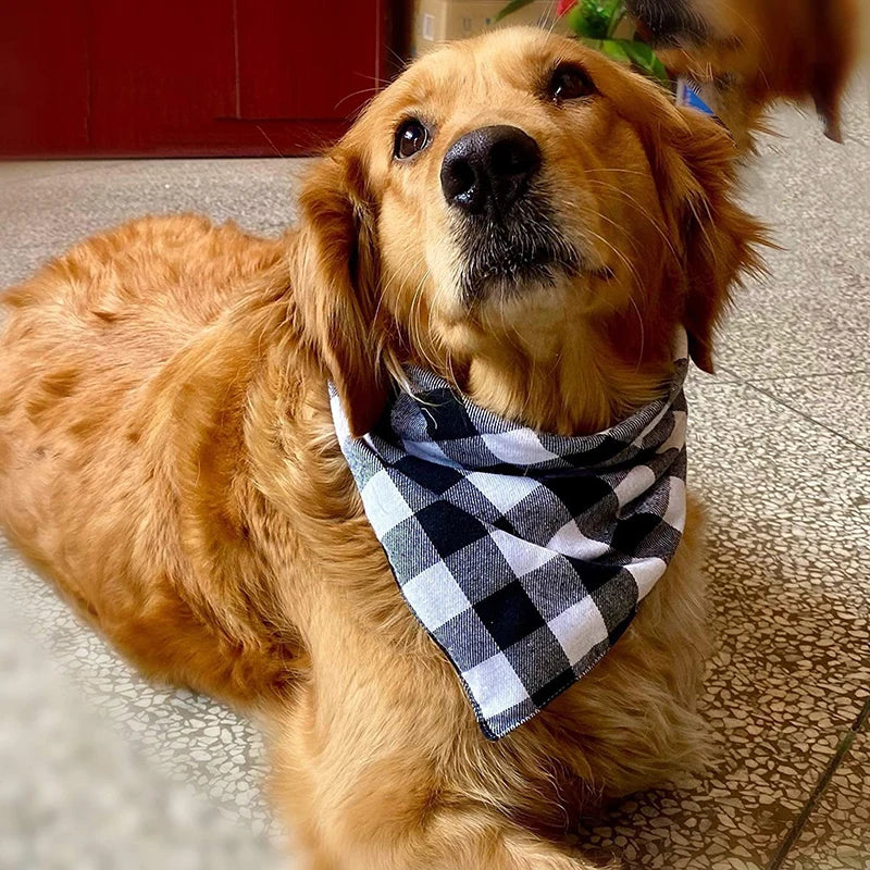 Bandana chien coton à motifs