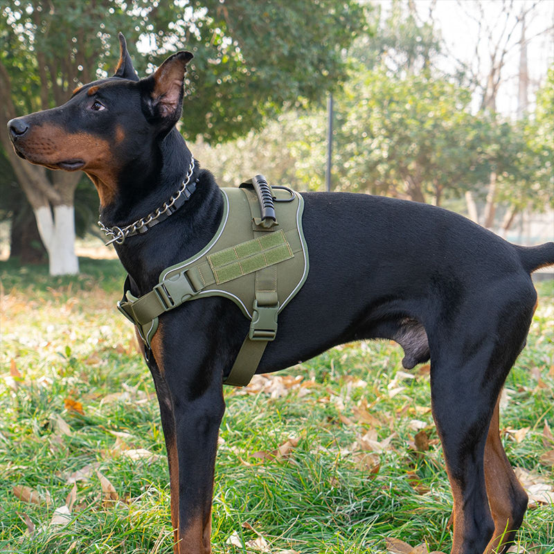 Harnais tactique style militaire