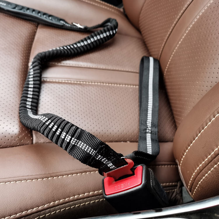 Ceinture de sécurité voiture pour chien