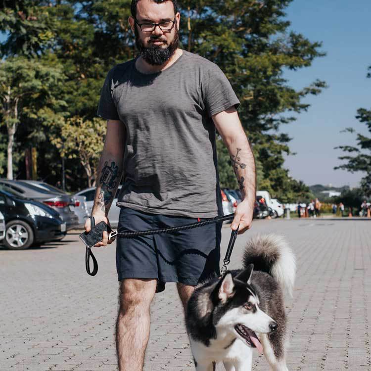 Ceinture de sécurité voiture pour chien