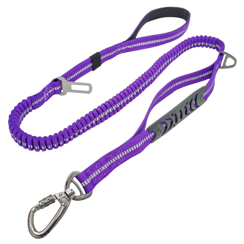 Ceinture de sécurité voiture pour chien