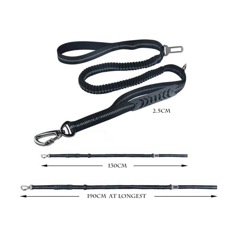 Ceinture de sécurité voiture pour chien