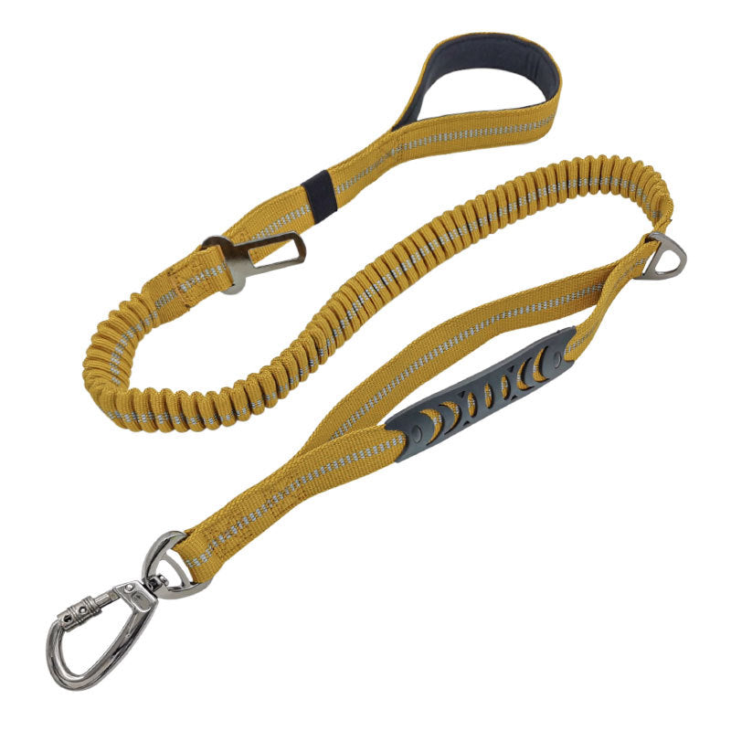 Ceinture de sécurité voiture pour chien