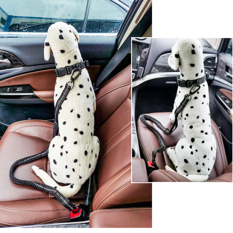 Ceinture de sécurité voiture pour chien