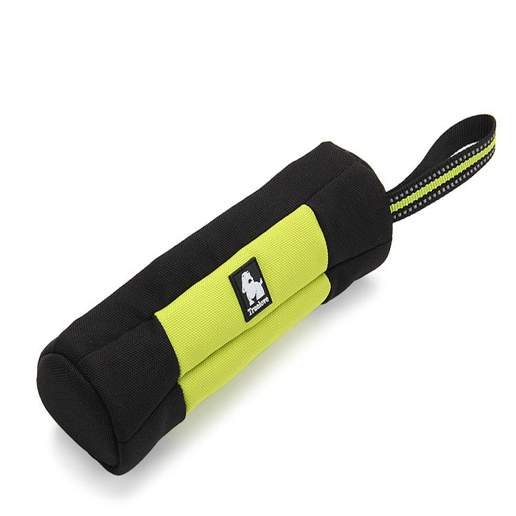 Laisse fluo réfléchissante pour chien