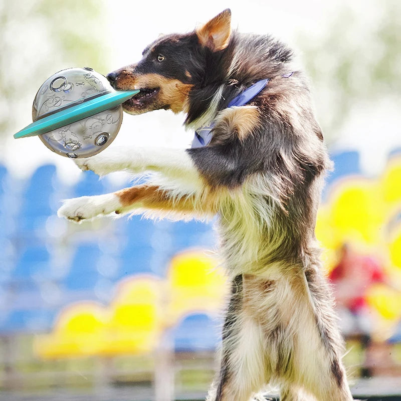 Frisbee distributeur de friandises