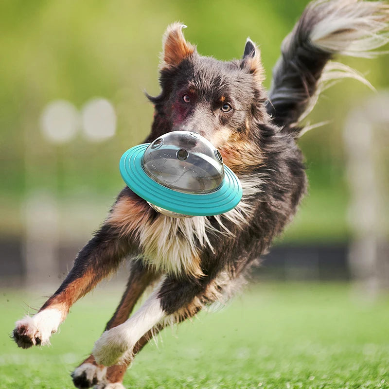 Frisbee distributeur de friandises