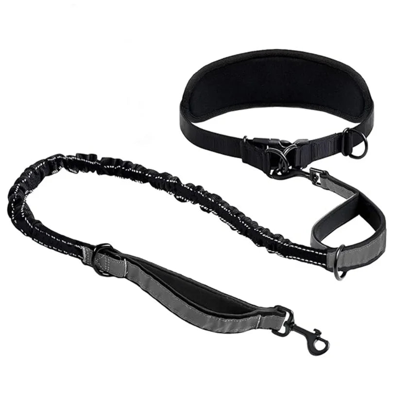Gamme BaladeDoud : Laisse mains libres avec ceinture