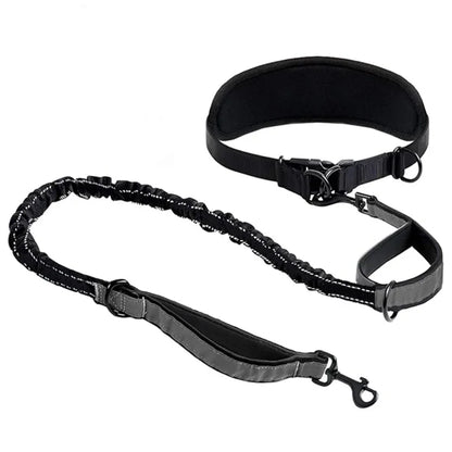 Gamme BaladeDoud : Laisse mains libres avec ceinture