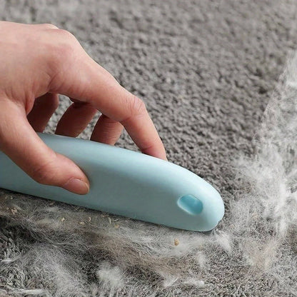 Brosse manuelle anti-poils