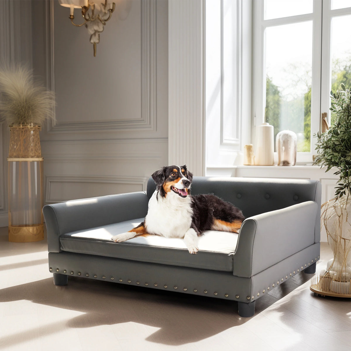 Canapé surélevé pour grand chien BINGOPAW