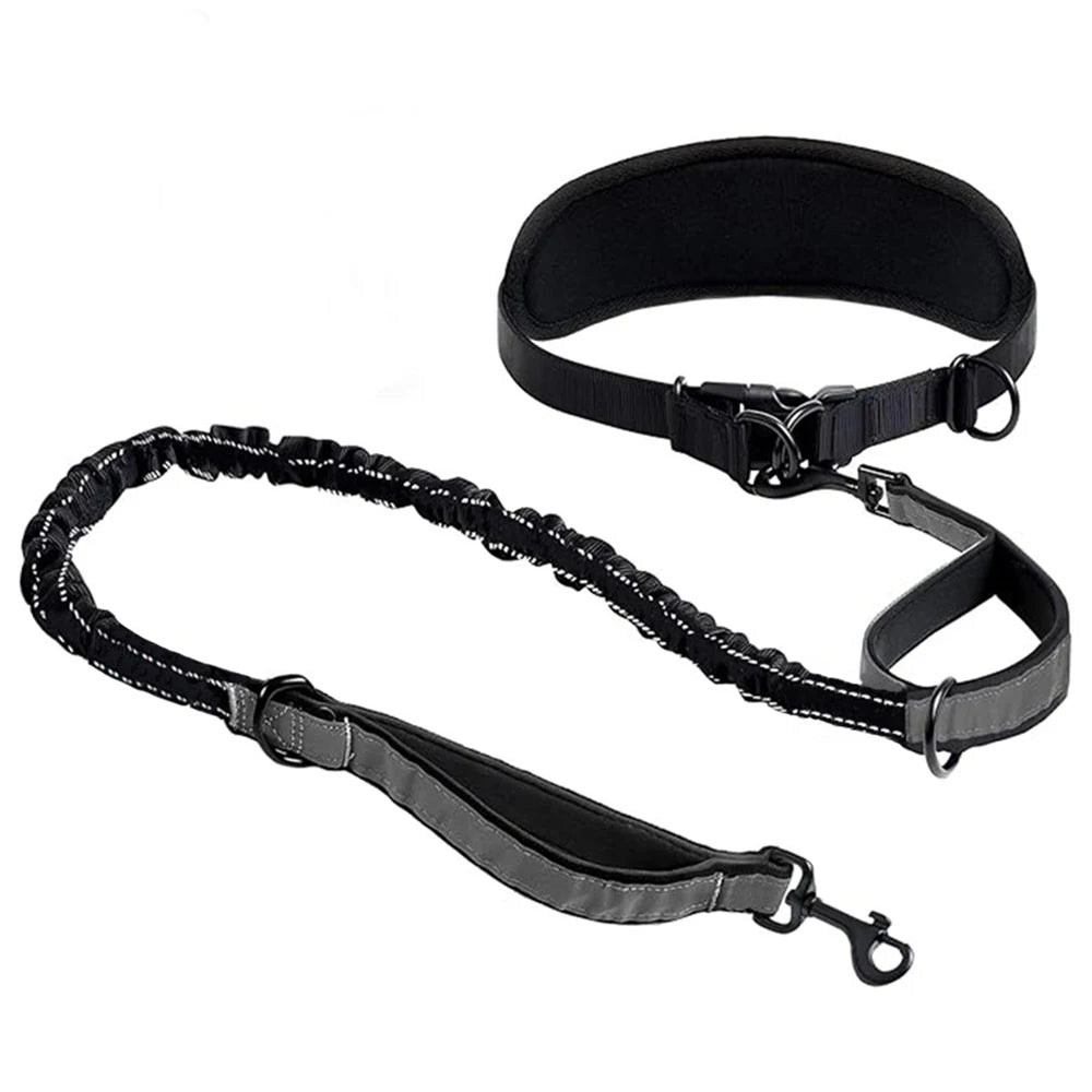 Gamme BaladeDoud : Laisse mains libres avec ceinture