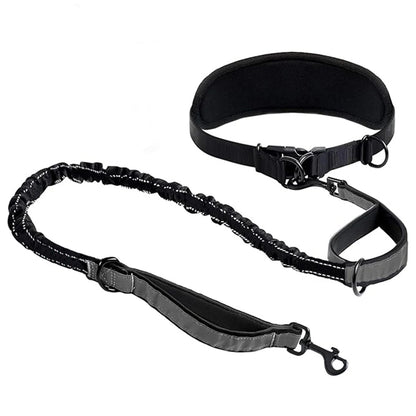 Gamme BaladeDoud : Laisse mains libres avec ceinture