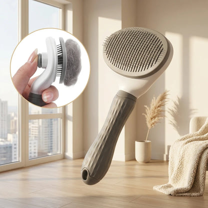 Brosse autonettoyante