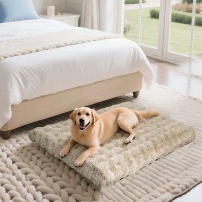 BINGOPAW – Matelas épais en mousse
