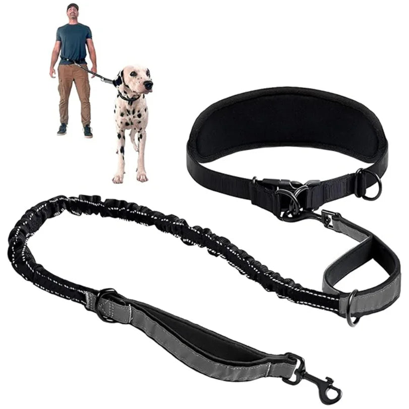 Gamme BaladeDoud : Laisse mains libres avec ceinture