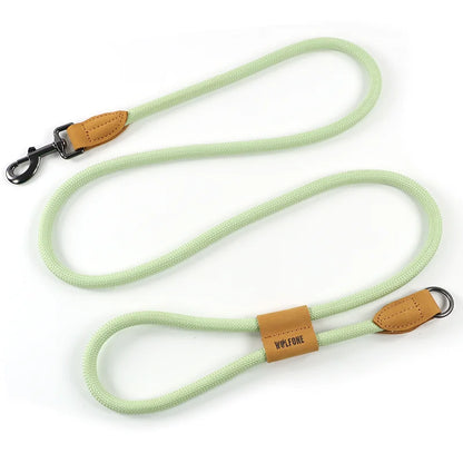 HENSHINE DOG GEAR – Laisse mains libres 1,8 m