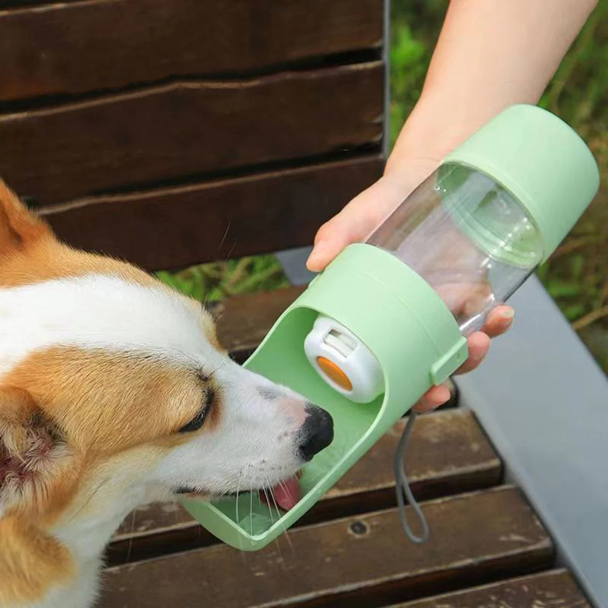 Bouteille d'eau portable