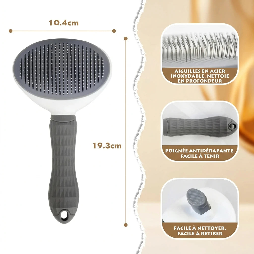 Brosse autonettoyante
