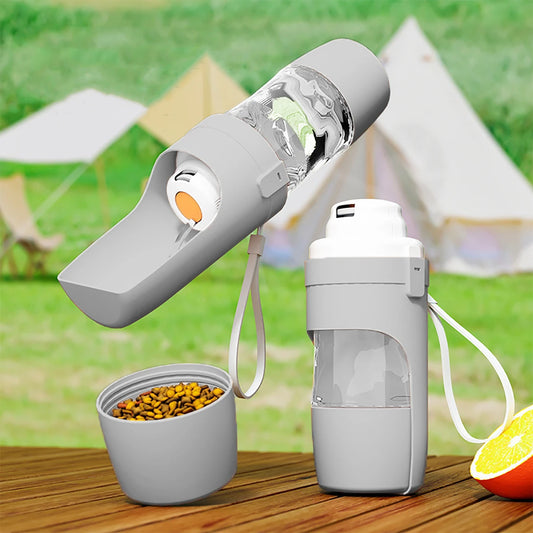 Bouteille d'eau portable