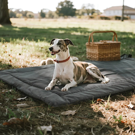Tapis de voyage pliable