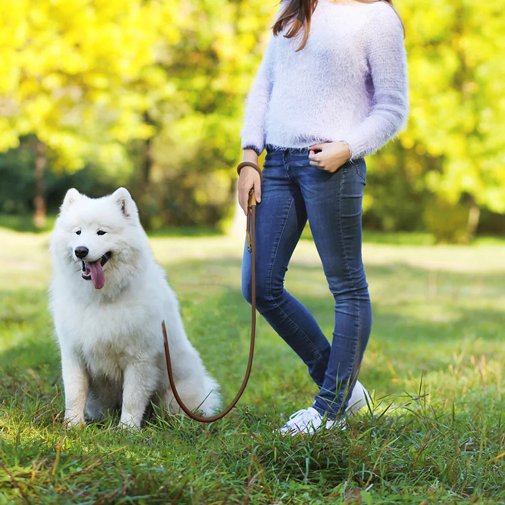 HENSHINE DOG GEAR – Laisse mains libres 1,8 m
