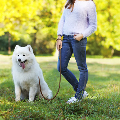HENSHINE DOG GEAR – Laisse mains libres 1,8 m