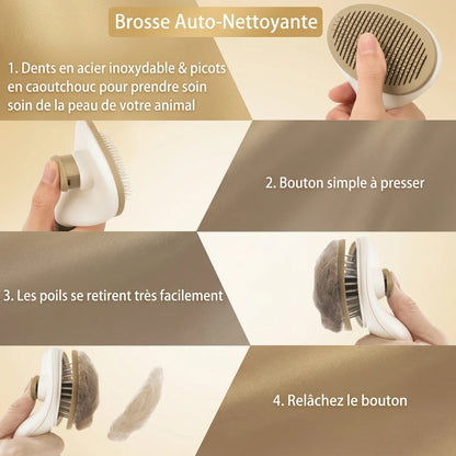 Brosse autonettoyante