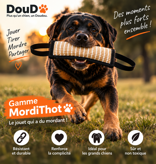Gamme MordiThot : Jouet de traction à mordre